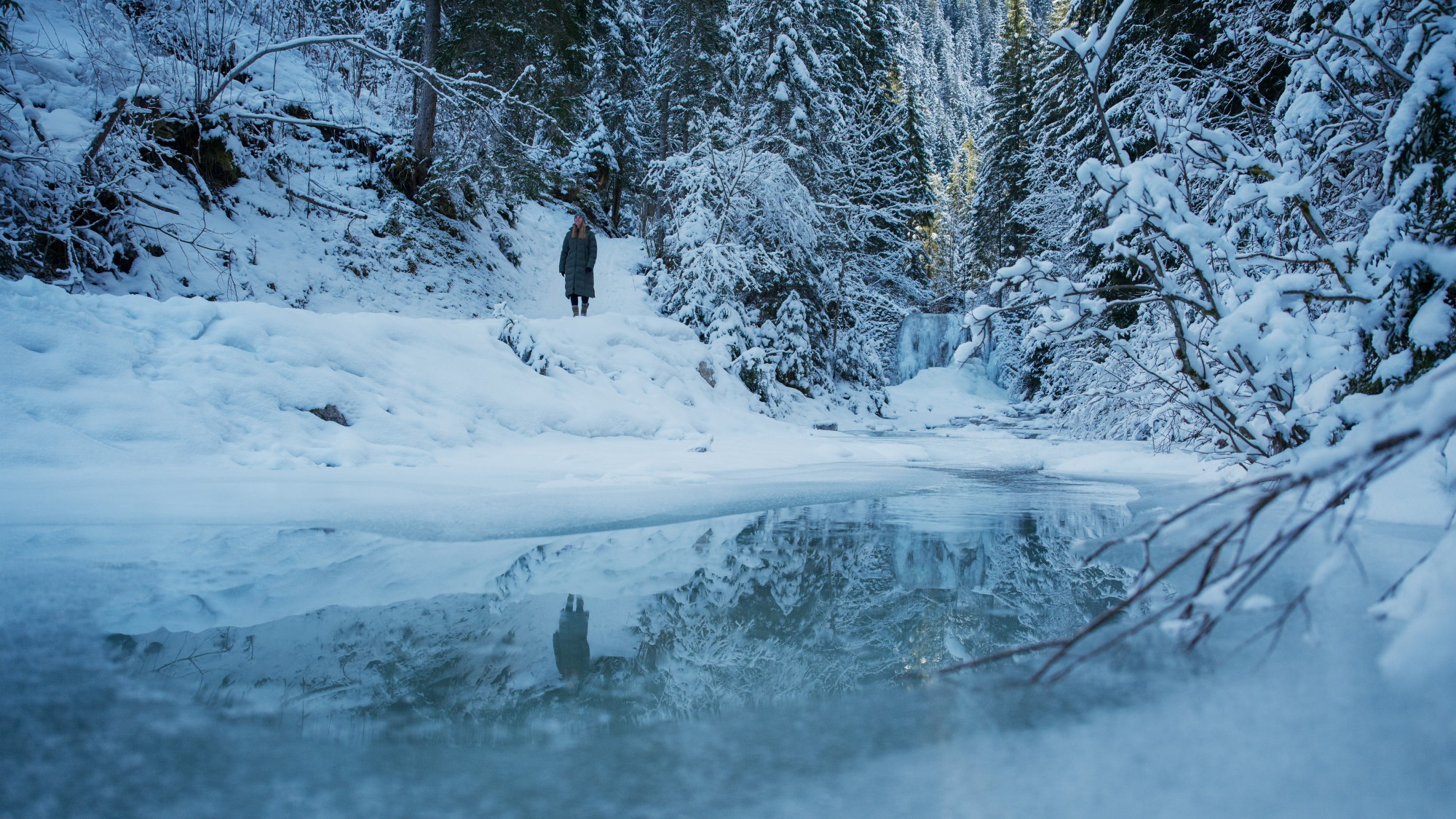 Winterwandern im Tannheimer Tal