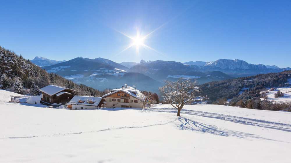 Urlaubsbauernhof "Roter Hahn"