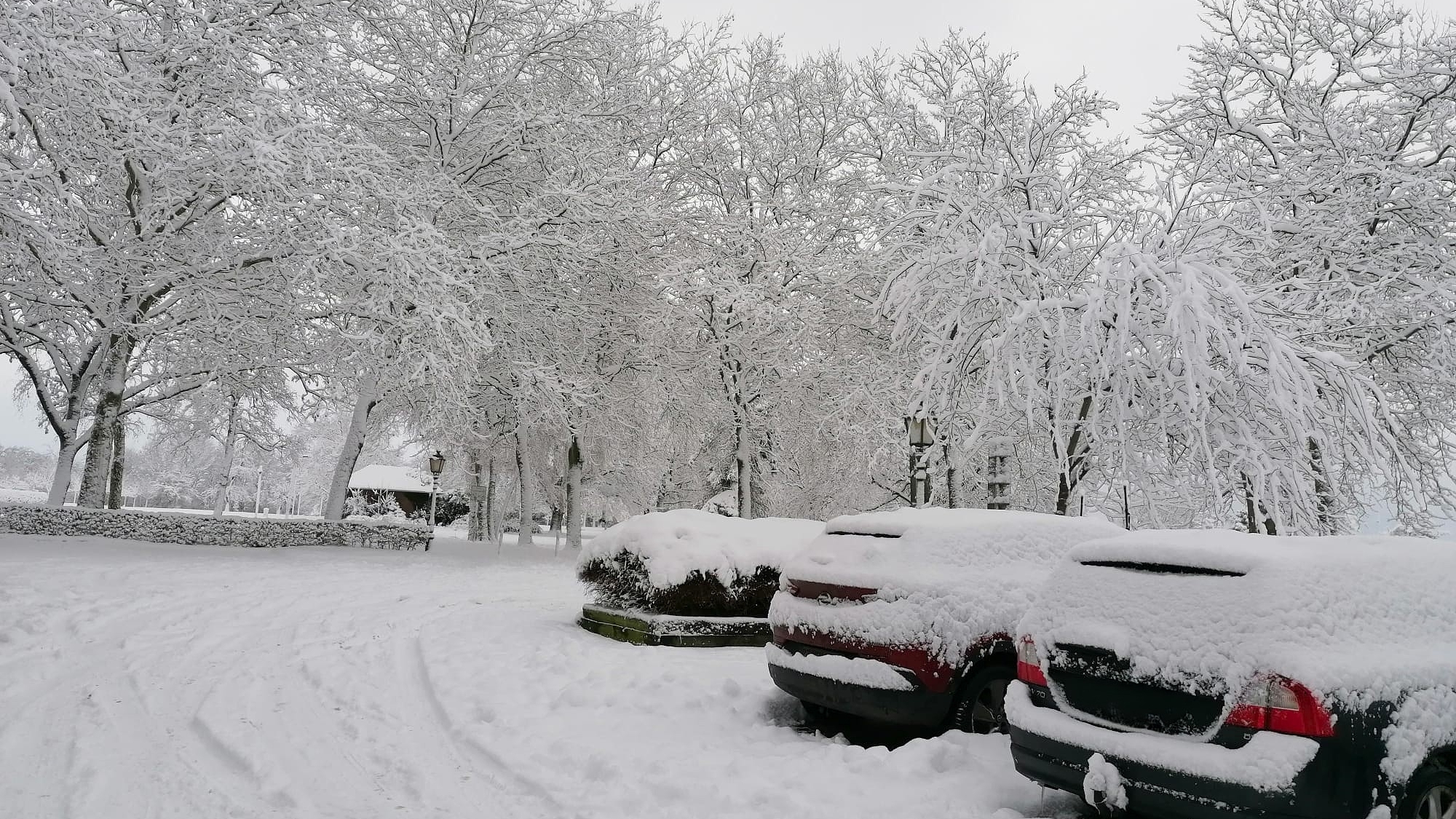 Schnee bis in die Niederlagen am 3.1.26 - Winterwetter in ganz Deutschland