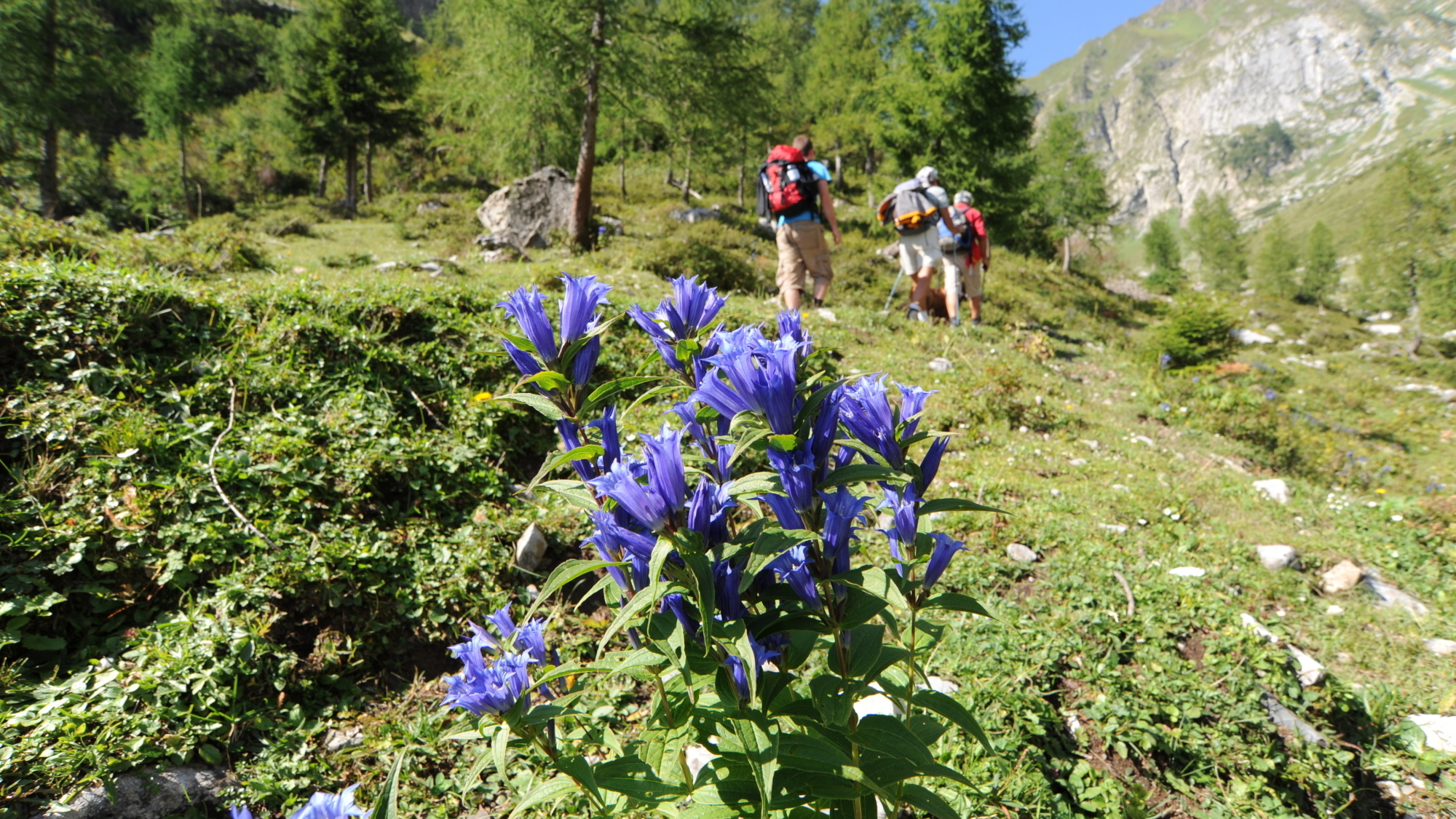 Lange Wandertouren durch die Berge sind für den Körper sehr fordernd