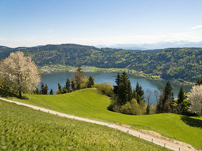 Urlaub In Villach Warmbad Faaker See Ossiacher See