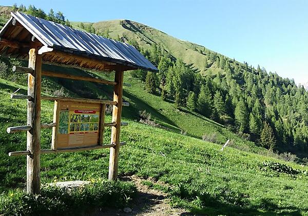auf dem Weg zum Toblacher Pfannhorn