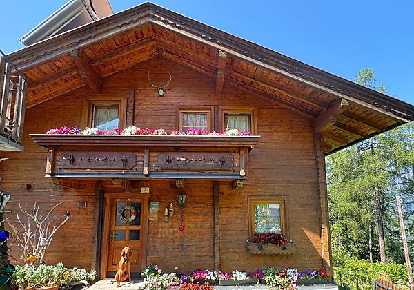 Báró Magyar Vizsla Jagdhund vor unserem Chalet