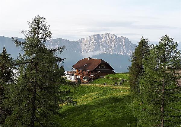 Haus mit Reißkoffel im Hintergrund