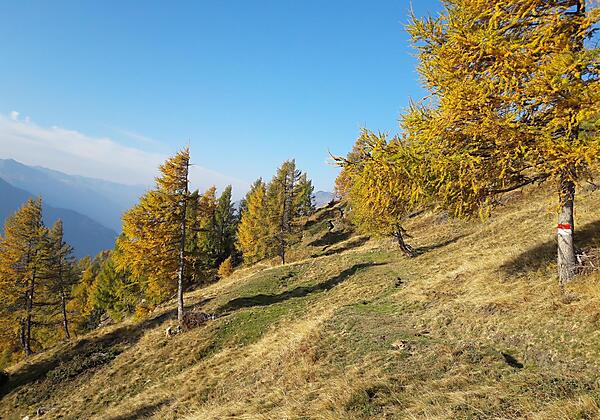 Wandern auf über 1800 m Seehöhe