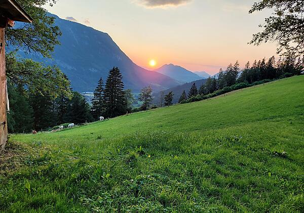 Ausblick Abendsonne