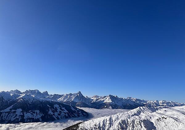 c4381333-63ab-4d04-887b-d3f4b76c63ca