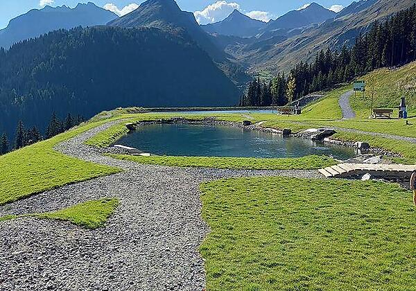 119634576_364777024532670_3630729500892982641_n