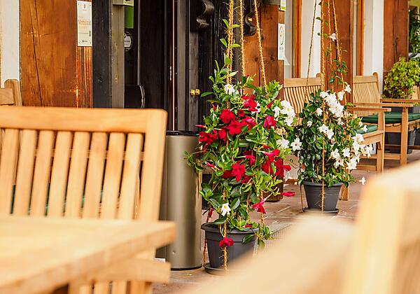 Terrasse Alpenhotel Sonneck, Bad Hindelang