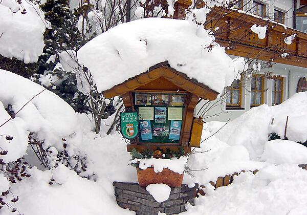 Dorfgastein-Gästehaus-Alpina-Winter-Schaukasten