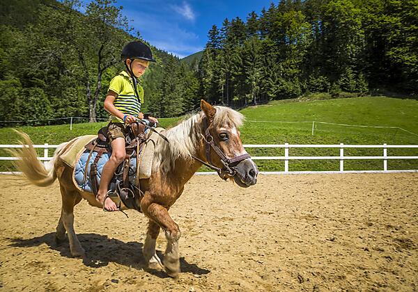 20190809_AmFerienbauernhofAussen_125_klein
