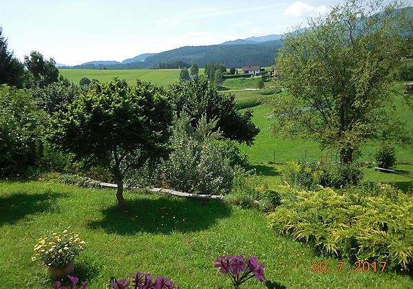 Blick aus dem Fenster