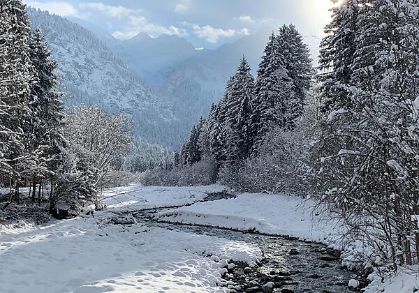 Winterimpressionen 2024