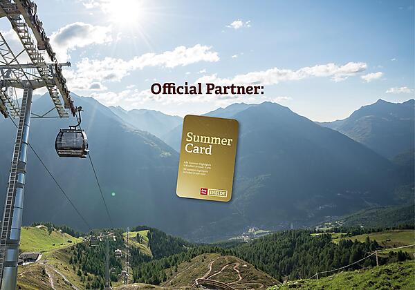 Summer Card Partner