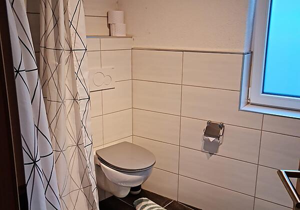 Badezimmer mit Dusche und WC