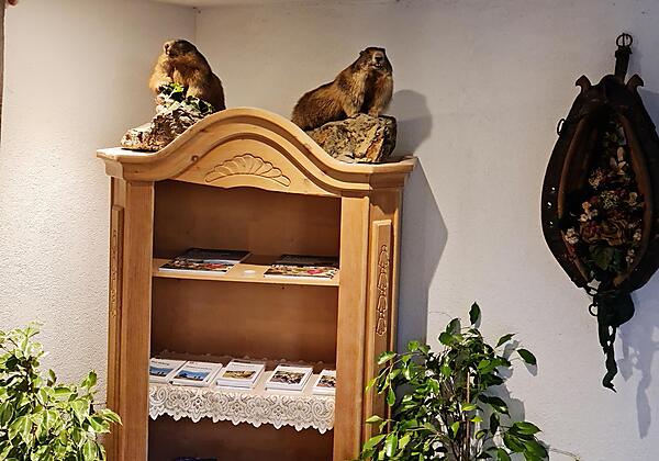 Eingangsbereich mit Informations-Material