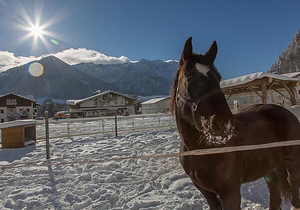 Travolta genießt die Wintersonne