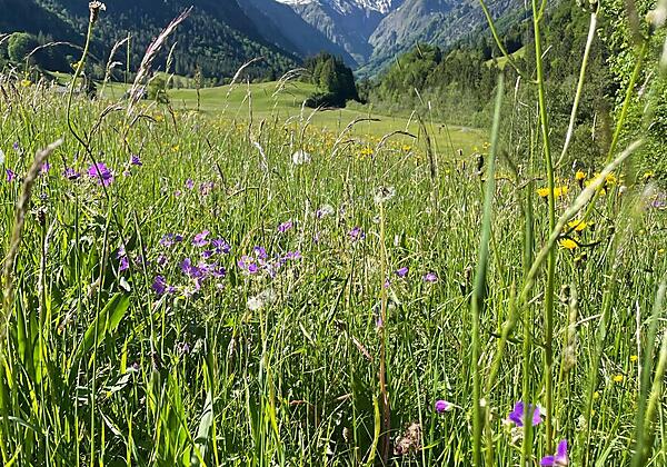 bc9179a2-171d-4ca2-a93d-8240a40a4a9a