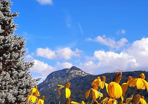 60e863e8-3fb6-46b1-9b9a-7c441e4fe26e