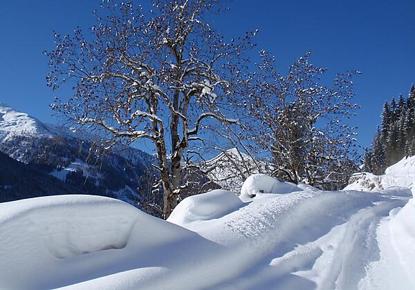 Winterfoto Carina 004