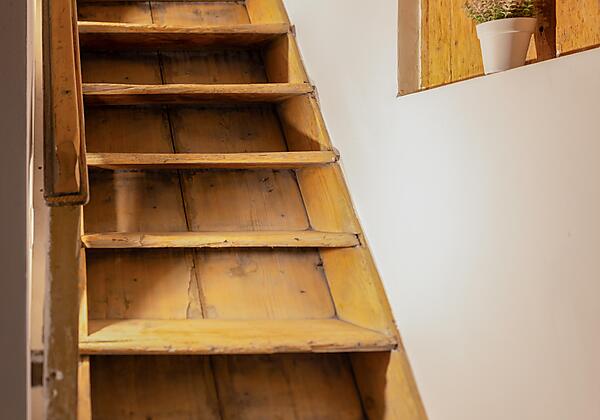 13 - _34A6460-CR3_DxO_DeepPRIME