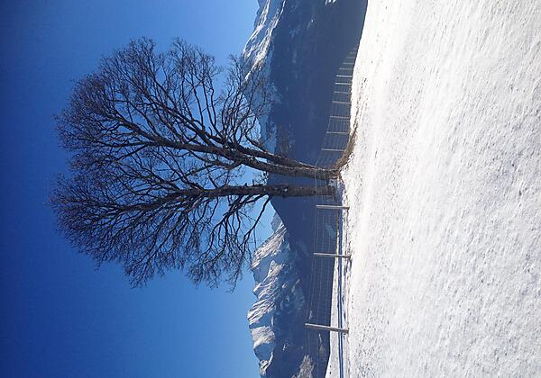 Winterlandschaft in der unmittelbaren Nähe