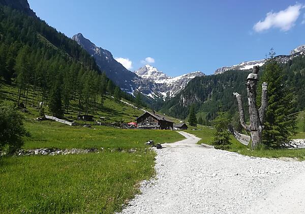 PHOTO-2019-08-03-20-26-53