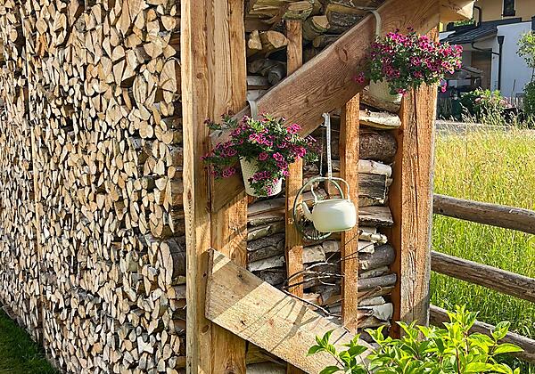 WhatsApp Image 2025-06-22 at 08.34.51