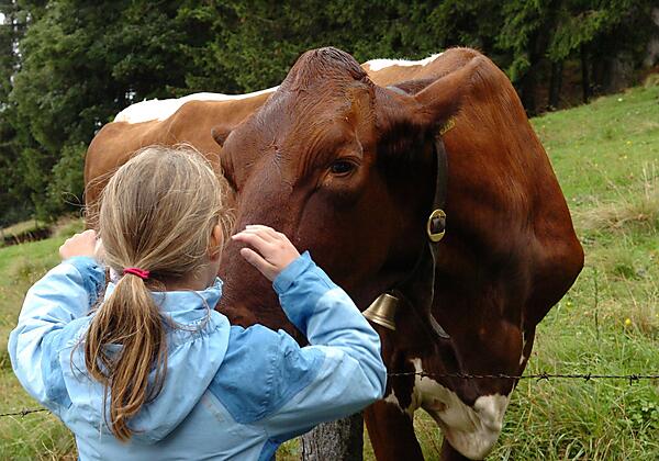 mit der Kuh auf du