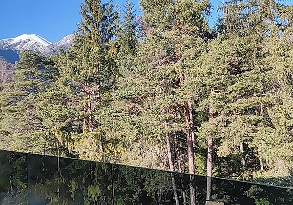 IMG_20230304_154036_2