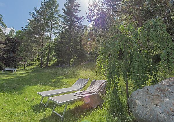 Wunderschöner Waldgarten hinter dem Haus