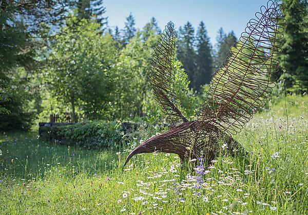 Adler in der Blumenwiese