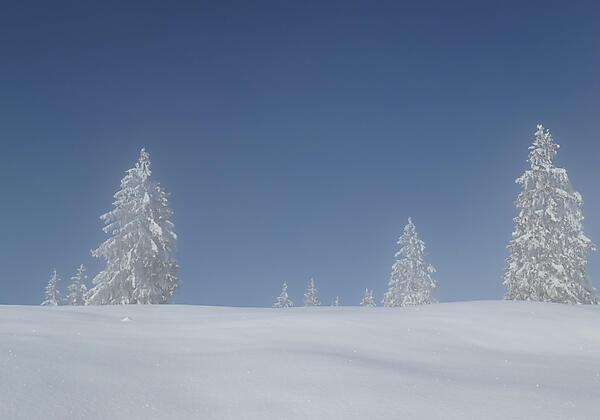 Loferer Alm Skitourgebiet