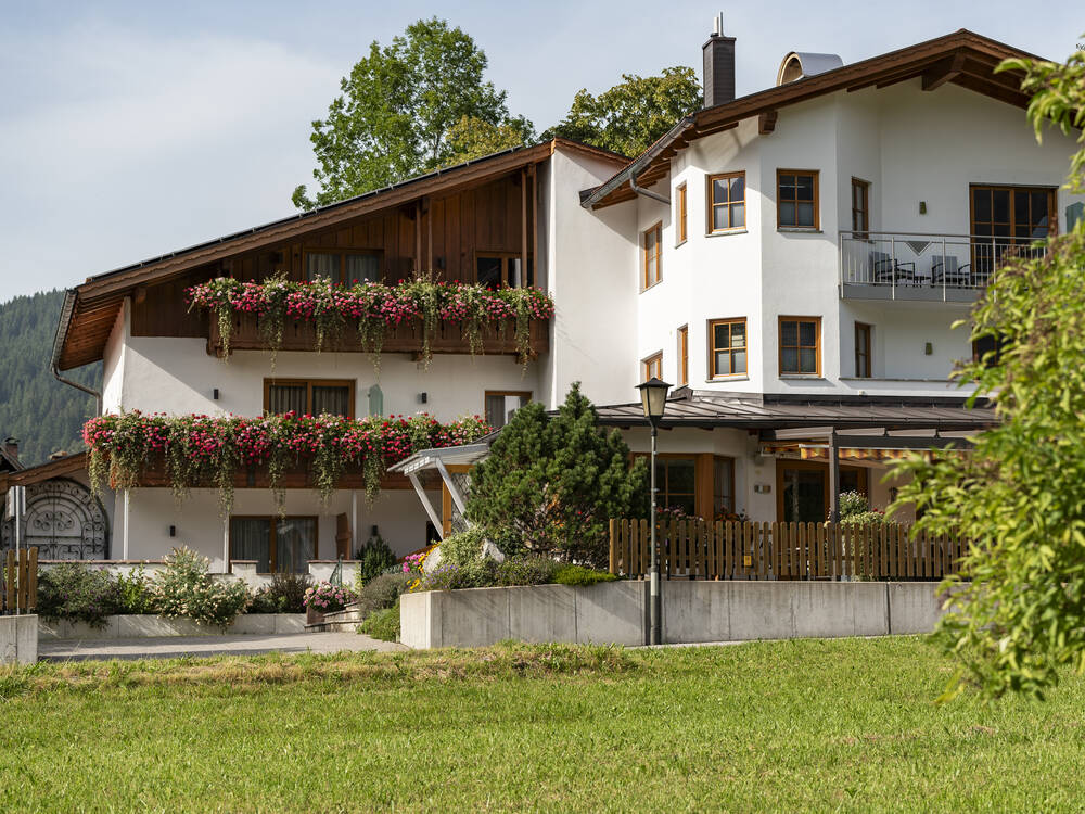 Arnika Oberammergau