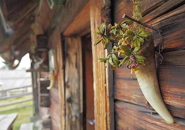 Herzlich Willkommen!