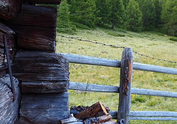 Holz vor der Hütte