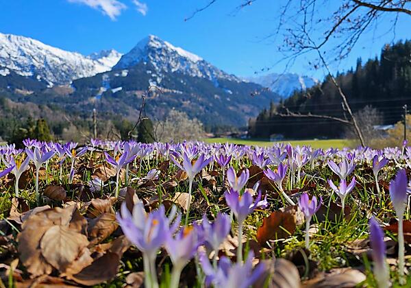 Ausblick im Frühling