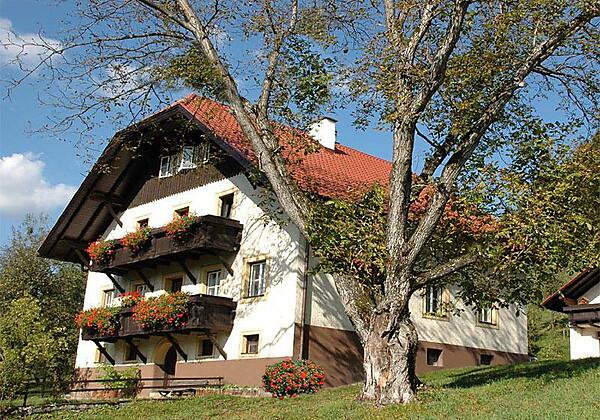 Bauer am Berg im Sommer