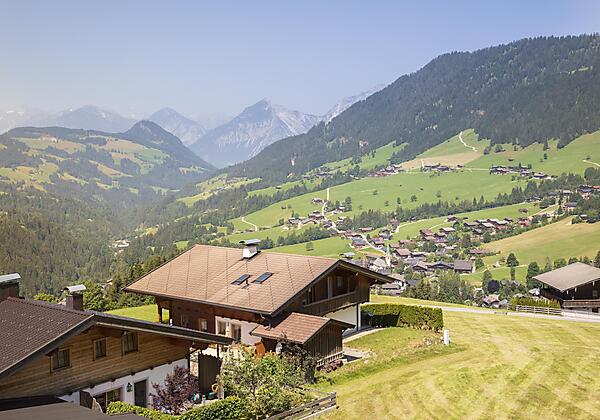Blick über das Alpbachtal