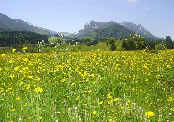 Blick auf den Zahmen Kaiser