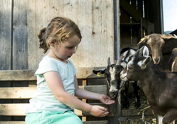 Bauernhof Großwolfing Ebbs - Kind mit Ziegen