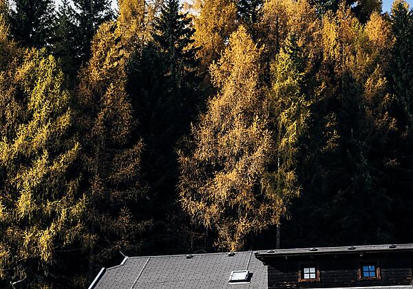 Vogelperspektive©Slow Travel Resort_60