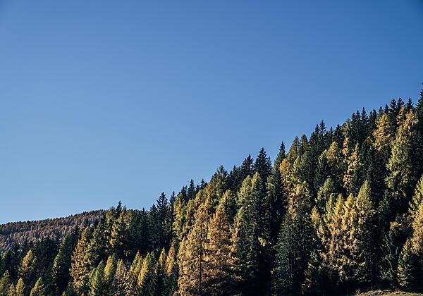 Natur©Slow Travel Resort_23