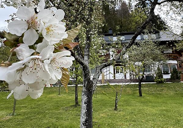 Beim Talschuster Frühling