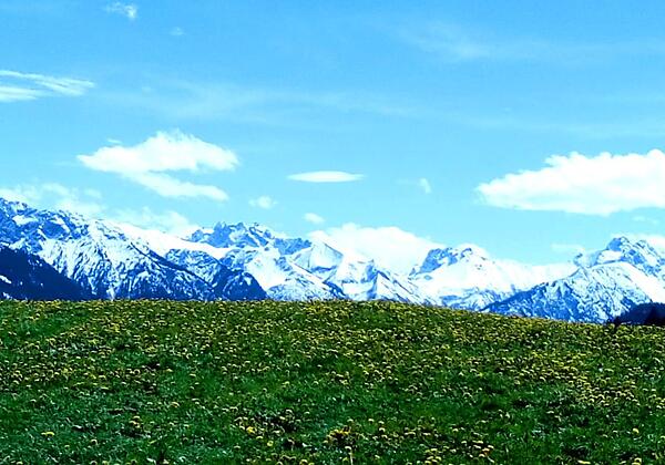 Ausblick im Frühling