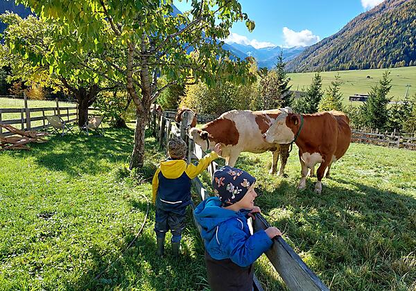 Herbstzeit ist Bauernhofzeit