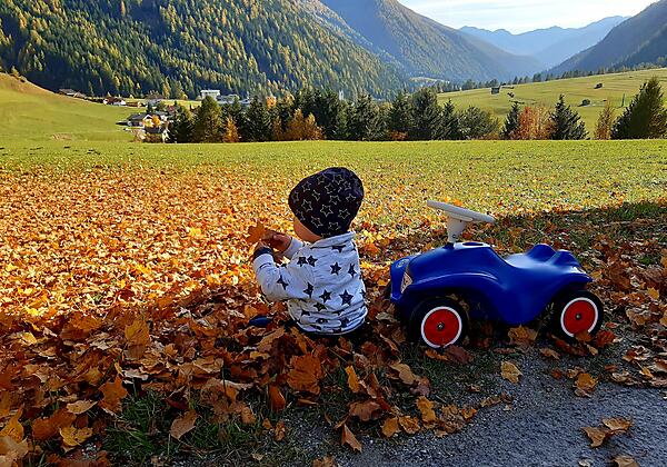 goldener Herbst am Bergerhof