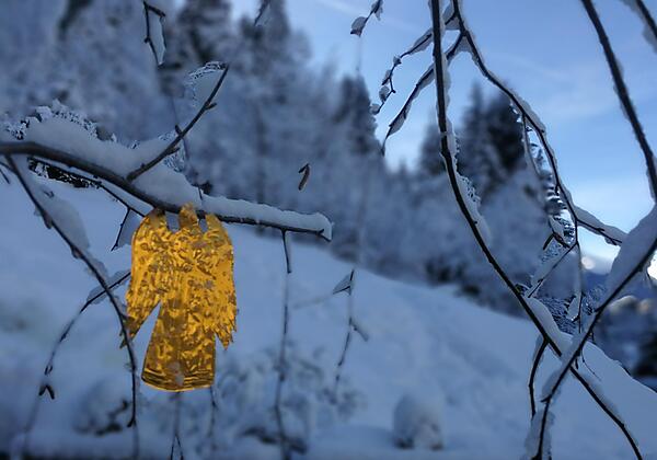 weihnachten in weiss
