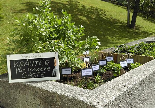 Kräutergarten für unsere Gäste