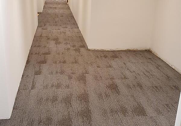 20191213_175635   16.1.2020